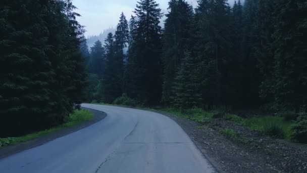 Asfalt Yolu Dağlardan Geçiyor Bir Dağ Deresi Yol Boyunca Akar — Stok video