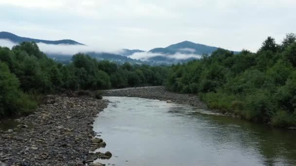 Cours d'eau dans une rivière de montagne, brouillard sur de grands pins dans les montagnes des Carpates
