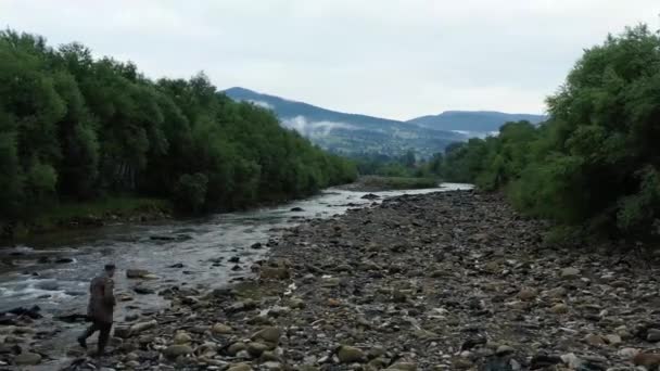 Strumień Wody Górskiej Rzece Mgła Nad Wysokimi Sosnami Karpatach — Wideo stockowe