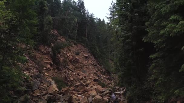 Karpackie Góry Konsekwencje Zawalenia Się Góry Lesie Źródło Spływające Gór — Wideo stockowe