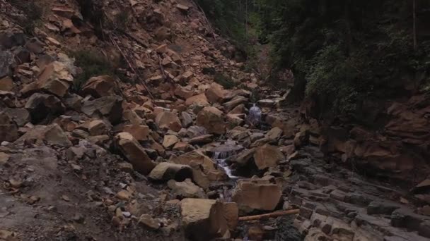 Montanhas Cárpatas Consequências Colapso Montanha Floresta Uma Fonte Que Desce — Vídeo de Stock