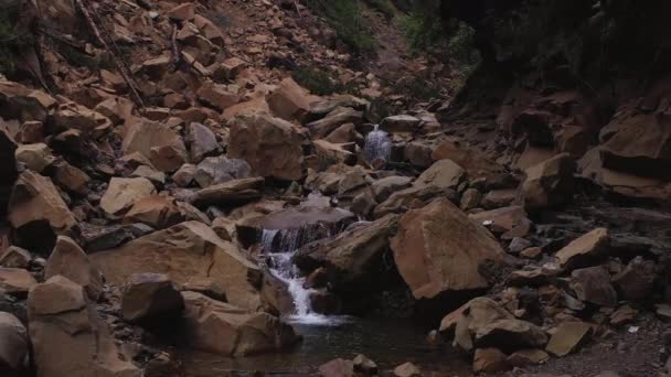 Karpat Dağları Ormandaki Bir Dağın Çöküşünün Sonuçları Dağlardan Akan Bir — Stok video