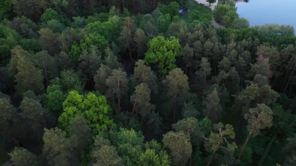 Parque Glória Partisan Kiev Ucrânia Primavera Maio 2020 — Vídeo de Stock