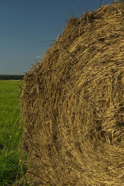 Pastoral Haystack Summer Fiel — Stock Photo, Image