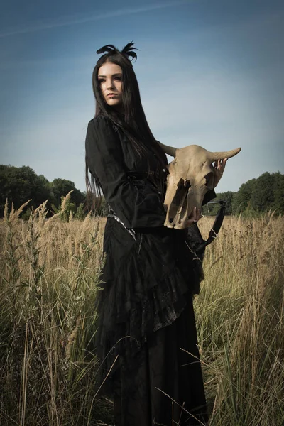 Gothic Lány Mellett Koponya Egy Tehén Egy Rúdra Nyári Mező — Stock Fotó