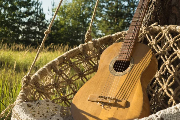 Guitarra Vieja Atrapasueños Una Rama Pino Los Frentes Verano —  Fotos de Stock