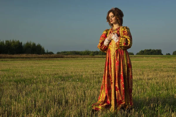 Kraliçe Vintage Elbise Yaz Alanında — Stok fotoğraf