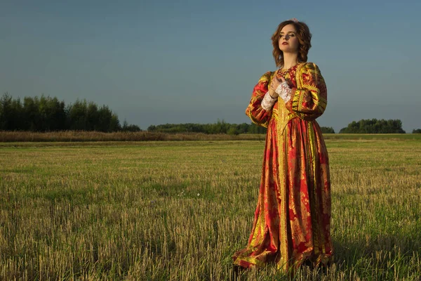 Королева Вінтажній Сукні Літньому Полі — стокове фото