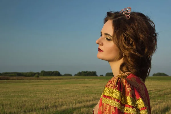 Queen Vintage Dress Summer Field — Stock Photo, Image