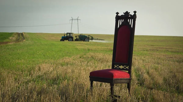 Real trono no campo de verão — Fotografia de Stock