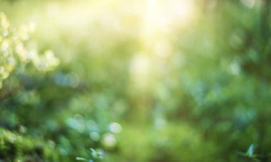 Yaz manzara bulanıklık