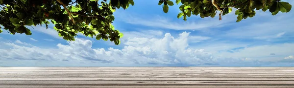 Zomer Planten Hemel Met Wolken Tropische Weer — Stockfoto