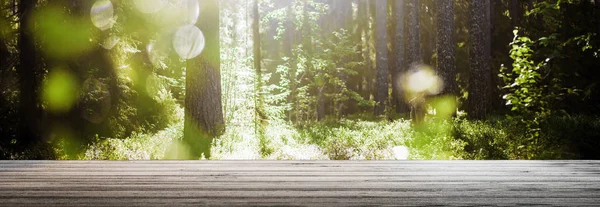 Bitkiler bokeh temizleyin