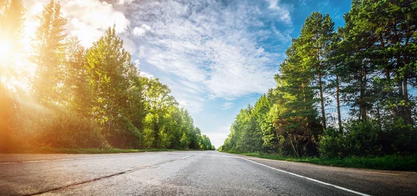 Sunrise güzel yolu ormandaki