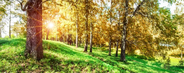 Parkta güzel sonbahar