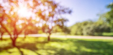 Park gündoğumu arka plan