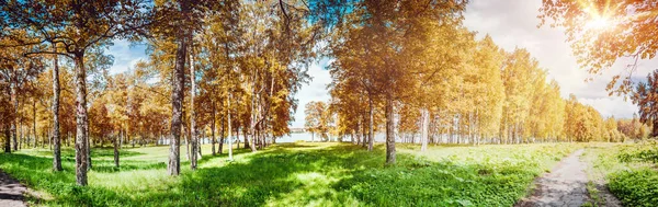 Panorama do parque outono — Fotografia de Stock