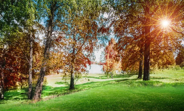 Hermoso otoño en el parque — Foto de Stock