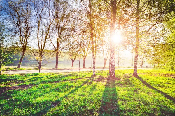 Wilde ecologie parklandschap — Stockfoto