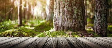 Yaz görüntü arka planı