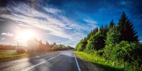 Sunrise beautiful road in forest — Stock Photo, Image