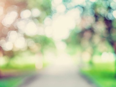 Makro arka plan yeşil park