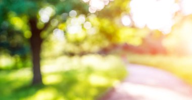 Yeşil park bulanıklık bokeh