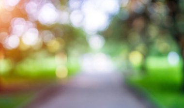 Yeşil park bulanıklık bokeh