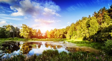 Nehir ve orman yaz manzarası