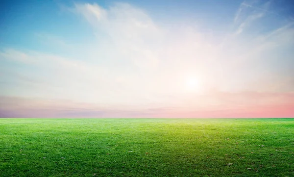 Grass field landscape panoramic — Stock Photo, Image
