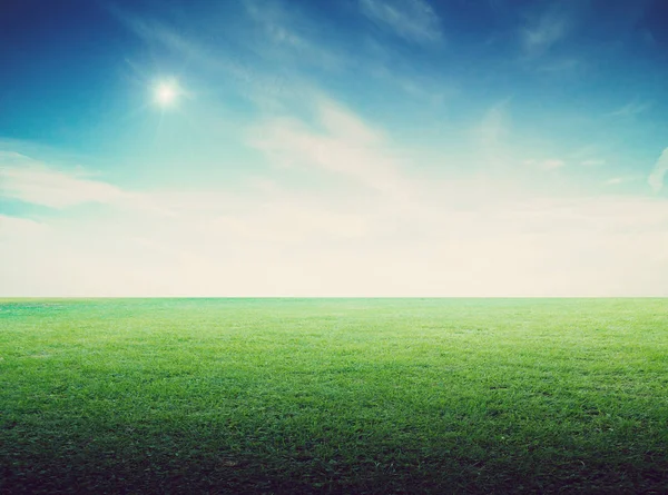 Grass field landscape panoramic — Stock Photo, Image