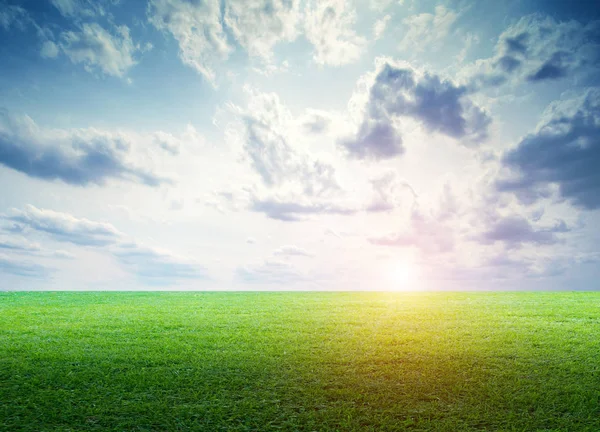 Gras Feld Landschaft panoramische — Stockfoto