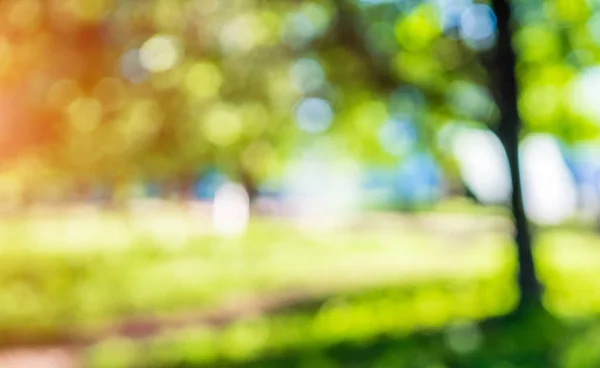 Green Park Blur bokeh — Stockfoto