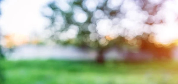 Grüne Park verschwimmen Bokeh — Stockfoto