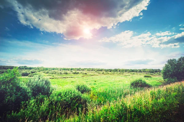 Paisaje naturaleza pradera — Foto de Stock