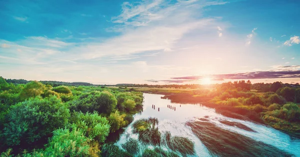 Río y bosque paisaje de verano — Foto de Stock