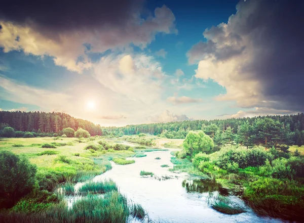 Rzeka i leśny letni krajobraz — Zdjęcie stockowe