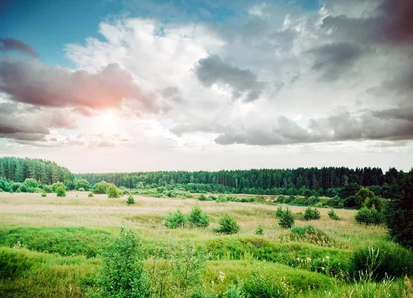 Landschaft Naturwiese — Stockfoto