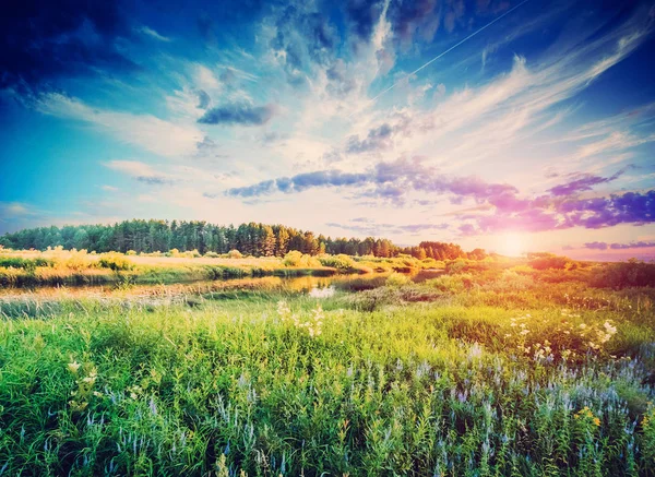 Sommerliche Fluss- und Waldlandschaft — Stockfoto