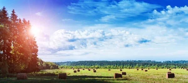 Bäuerliche Wiesen Naturlandschaft — Stockfoto