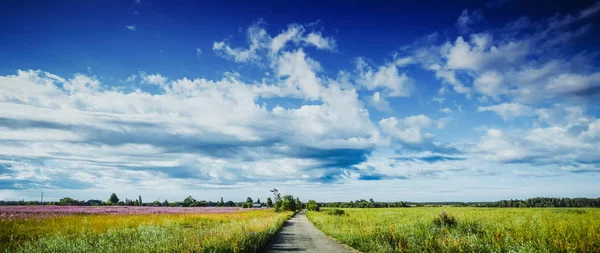 Paisaje de naturaleza rural - carretera y prado — Foto de Stock