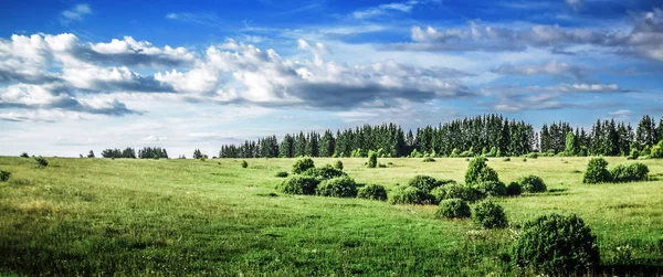 Ländliche Naturlandschaft, Wiese und Wald — Stockfoto