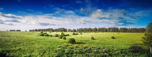 Naturaleza rural paisaje, prado y bosque —  Fotos de Stock