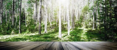 Vahşi orman manzarası