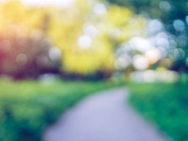 Makro arka plan yeşil park