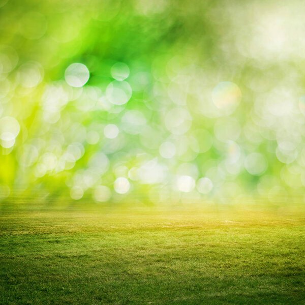 Bokeh, grass and green meadow