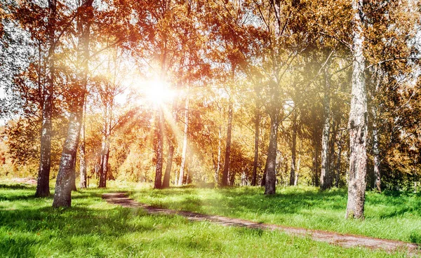 Hermoso otoño en el parque — Foto de Stock