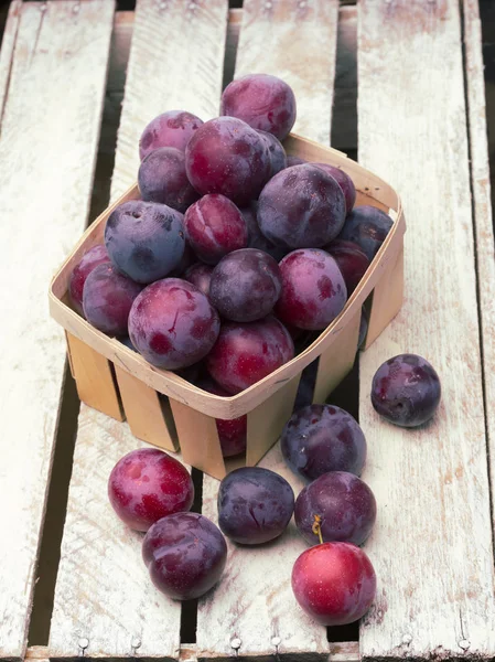 Summer plums — Stock Photo, Image