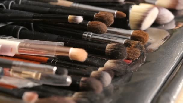 Coleção de pincéis de maquiagem — Vídeo de Stock