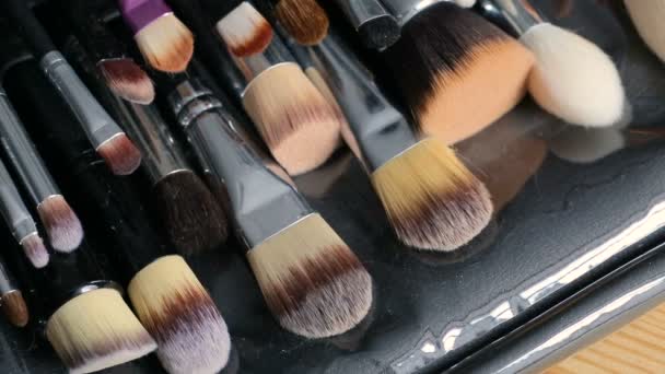 Make-up penselen collectie — Stockvideo